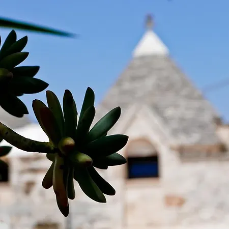 L'anima Della Pietra - Trullo Sovrano Tatil Evi *